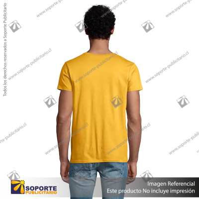 POLERA PIONEER HOMBRE/SMALL/VERDE CLARO