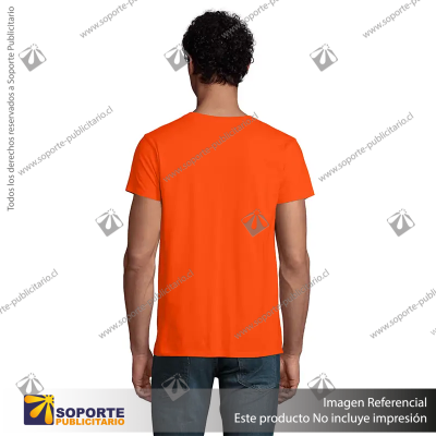 POLERA PIONEER HOMBRE/SMALL/VERDE CLARO