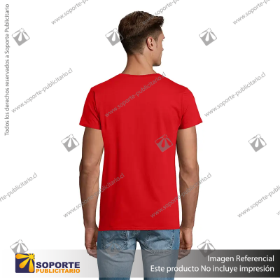 POLERA PIONEER HOMBRE/SMALL/VERDE CLARO