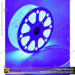 CINTA LED 220V AZUL 60 LED