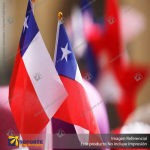 ESCARAPELA CHILENA 60*120 CMS