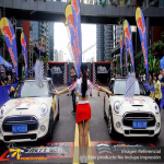 MASTIL CURVO VELA PRO 520*100 CMS (550 CMS) PARA BANDERA PUBLICITARIA (C25)